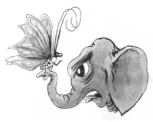 Elefant_Schmetterling, Illustration Manfred Schmidt