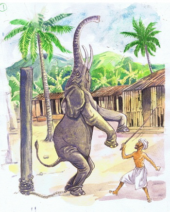 Elefant, Bild: Abdul Gugu