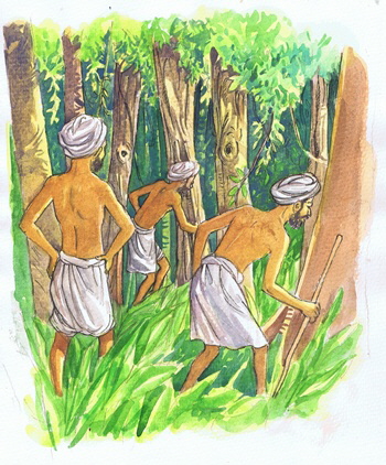 Elefant, Bild: Abdul Gugu