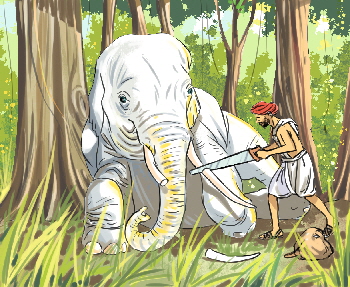 Frstereelefant, Bild: Abdul Gugu