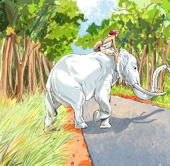 Frstereelefant, Bild: Abdul Gugu