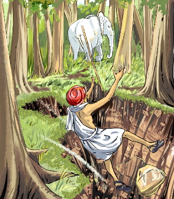 Frstereelefant, Bild: Abdul Gugu