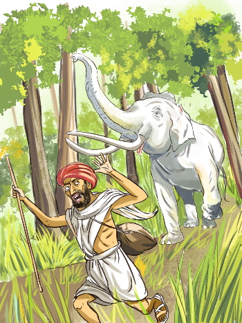 Frstereelefant, Bild: Abdul Gugu