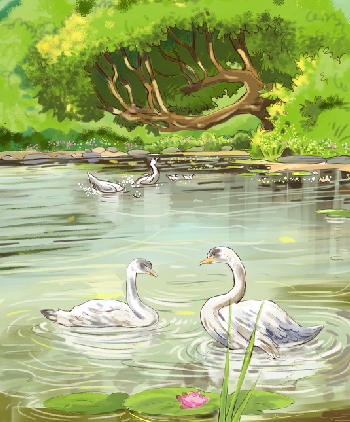 Knig der Fische, Bild: Abdul GuguKnig der Fische, Bild: Abdul Gugu